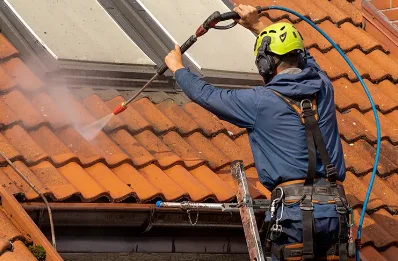 Démoussage et hydrofuge de toiture à Moyenvic
